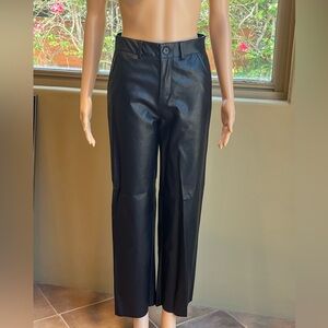 Vegan Leather Pants in Black